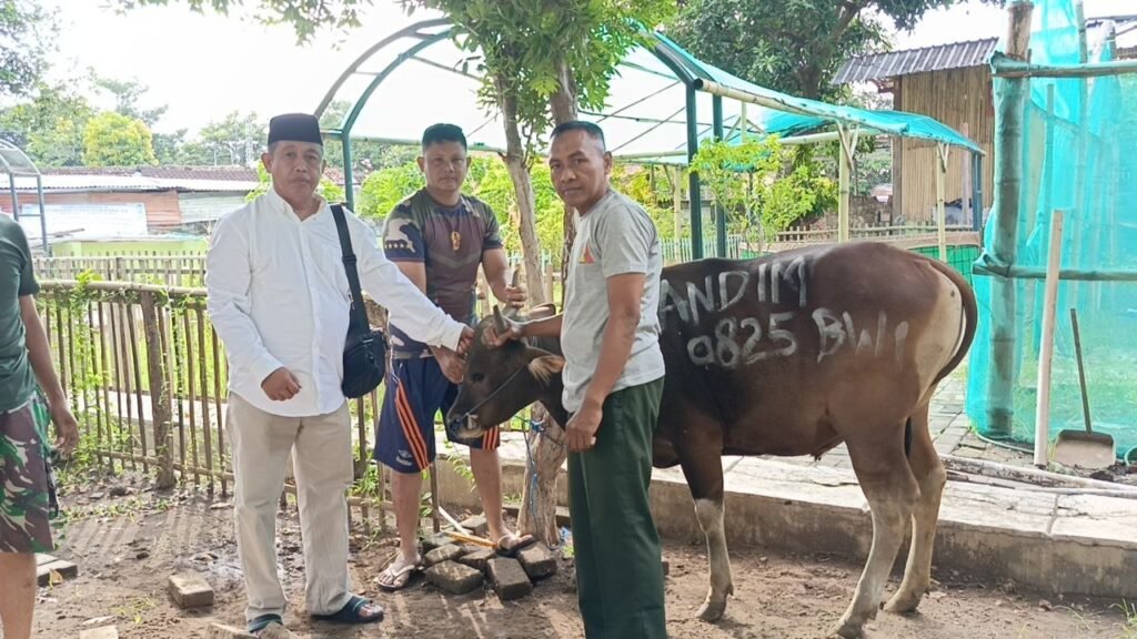 Penuh Khidmat Dan Kebersamaan Kodim 0825/Banyuwangi Gelar Shalat Idul Adha Dan Penyaluran Hewan Qurban